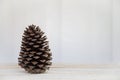 One single pine cone sitting on a bench