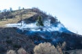 Single pine tree in dense smoke on the hill Royalty Free Stock Photo