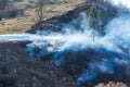 Single pine tree in dense smoke on the hill