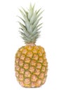 Single pineapple Royalty Free Stock Photo