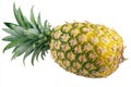 A single pineapple sits, solitary pineapple is positioned on a surface Royalty Free Stock Photo