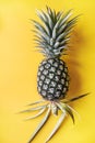 Single pineapple with yellow background Royalty Free Stock Photo