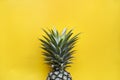 Single pineapple with yellow background Royalty Free Stock Photo
