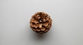 A single pinecone, likely from a Royalty Free Stock Photo