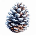 Single Pinecone with White Snow on Scales Against White Background Royalty Free Stock Photo