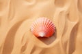 A single pink color seashell on smooth golden sand in bright sun light flat lay. Summer sea life vocation holidays concept Royalty Free Stock Photo