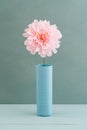 Single paper dahlia