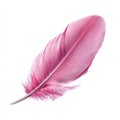 pink feather falling. AI generate Royalty Free Stock Photo