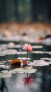 a single pink flower is floating on top of water lillies Royalty Free Stock Photo