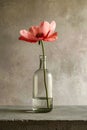 Single pink flower with green stem inside clear glass bottle. Generative AI Royalty Free Stock Photo