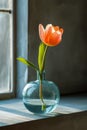 Single pink flower with orange and yellow accents is displayed in clear glass vase filled with water. Generative AI Royalty Free Stock Photo