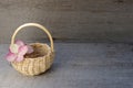 Single pink hydrangea flower bloom in small whicker basket on rustic wood background with copy space Royalty Free Stock Photo