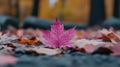 A single pink leaf sitting on top of a pile of leaves, AI Royalty Free Stock Photo