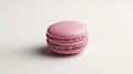 Single Pink Macaron on a Plain White Backdrop with Soft Diffused Studio Lighting
