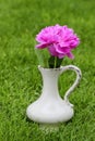 Single pink peony flower in white ceramic vase Royalty Free Stock Photo