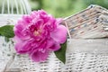 Single pink peony flower in white wicker basket Royalty Free Stock Photo