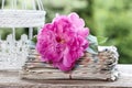 Single pink peony flower in white wicker basket Royalty Free Stock Photo