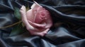 a single pink rose is on a blue satin background with a green stem Royalty Free Stock Photo