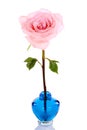 Single pink rose in blue vase Royalty Free Stock Photo