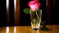 a single pink rose in a clear vase on a table
