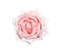 Single pink rose flower isolated on white background and clipping path top view Royalty Free Stock Photo