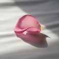 Pink rose petal rests gently on a soft white fabric, casting a delicate Royalty Free Stock Photo