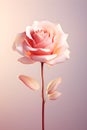 a single pink rose on a pink background.Pastel Art Pink Rose, Perfect for Wall Art.