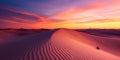 A Single Plant Grows on a Desert Dune at Sunset Royalty Free Stock Photo