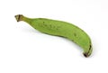Single Plantain Banana