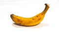 Single Plantain Banana that has Black Spot and isolated on White Background