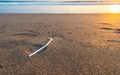 Plastic straw on a beach at sunset