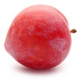 Single plum
