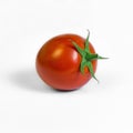 Single plum tomato ripe white background square composition