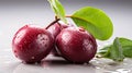 A single Plum on a white background