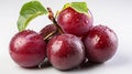 A single Plum on a white background