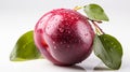 A single Plum on a white background