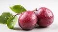 A single Plum on a white background