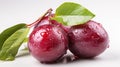 A single Plum on a white background