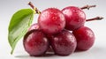 A single Plum on a white background