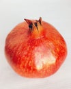 Single Pomegranate (Punica granatum) fruit red ripe fresh whole anaar rodie nar melograno anor grenadefruit image photo