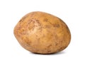 Single potato isolated on white background. Vegetable Royalty Free Stock Photo