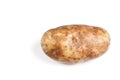 Single potato over white