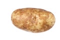 single potato over white