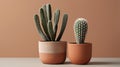 A single potted cactus with simple, sharp lines and a terracotta pot, rendered in earthy