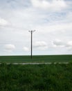 A single power line pole stands tall above the green fields in the southern Sweden landscape called SkÃÂ¥ne