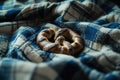 A single pretzel covered in powdered sugar sitting on a colorful blanket Royalty Free Stock Photo