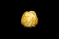 A single profiterole isolated on the black background