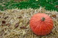 Single Pumpkin on Haystack Farm Decoration Autumn Fall Seasonal