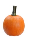 Single pumpkin