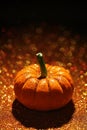 Single pumpkin on sparkly orange background